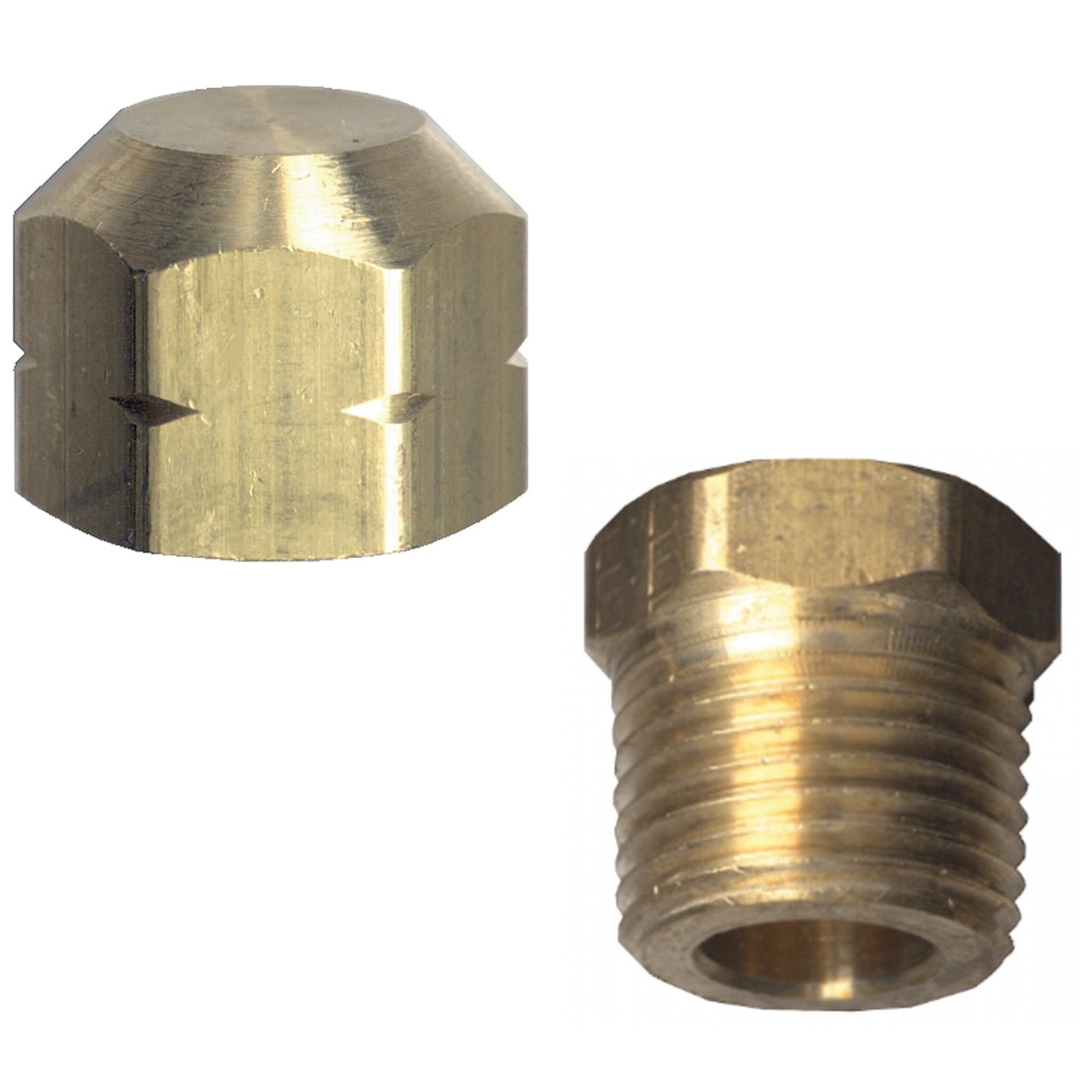 Image Caps and plugs